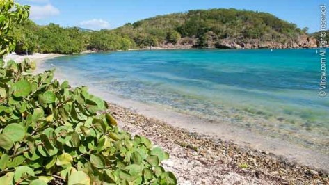 Limestone Beach